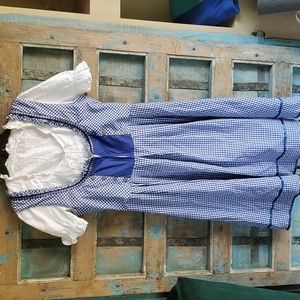 Blue and White Checkered Dirndl